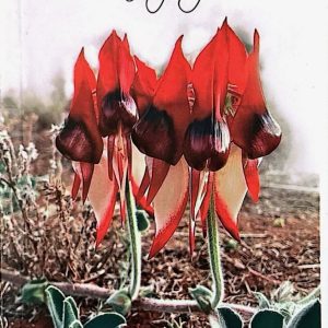 The colours of spring - Kuma Raj Subedi